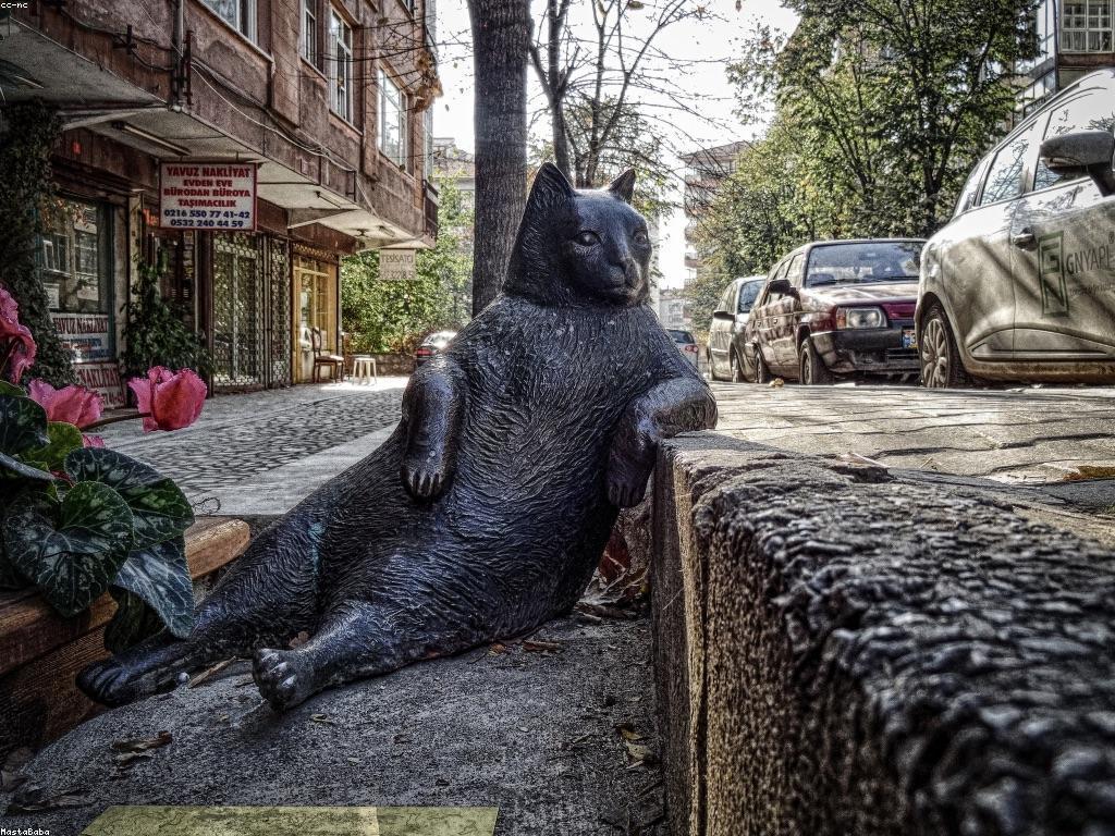 ការប្រើប្រាស់បូណាស់៖ ទំនាក់ទំនងនិងអត្ថប្រយោជន៍