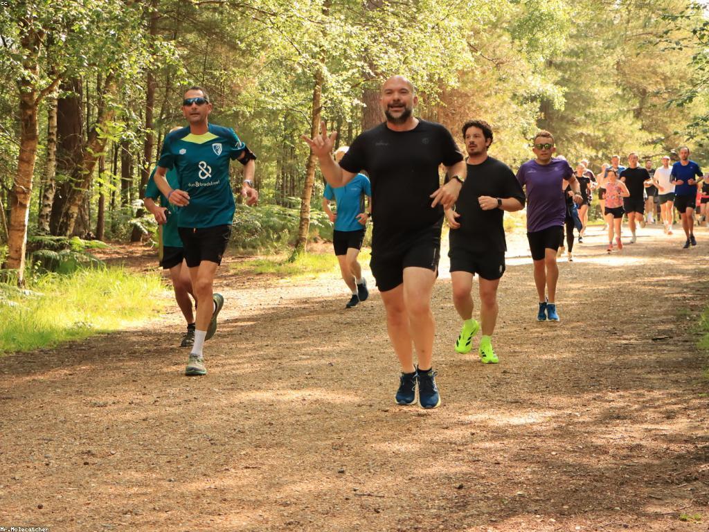 អត្ថប្រយោជន៍នៃបូណាស់ក្នុងវេជ្ជសាស្ត្របុរាណ