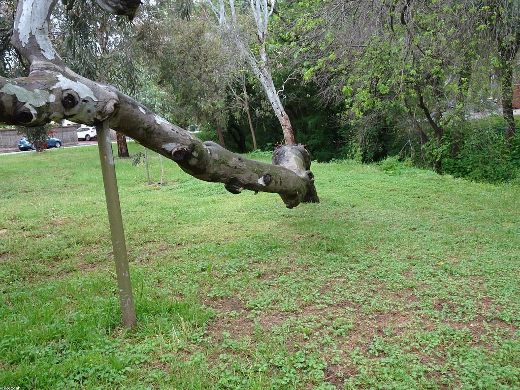 សារៈសំខាន់នៃការគាំទ្រ​សាខា