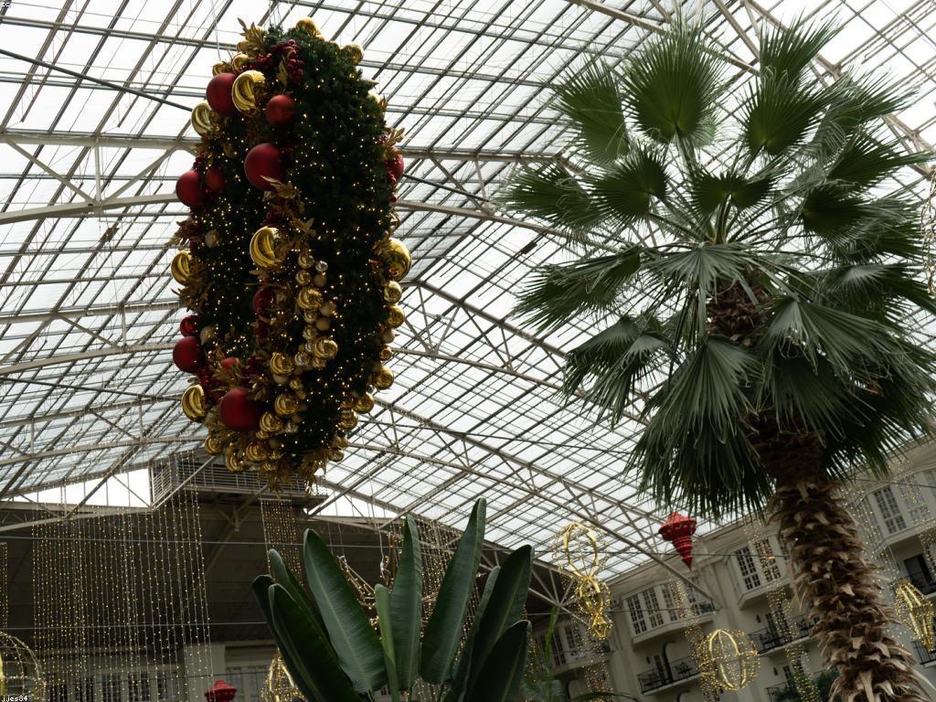 អត្ថប្រយោជន៍នៃបូណាស់